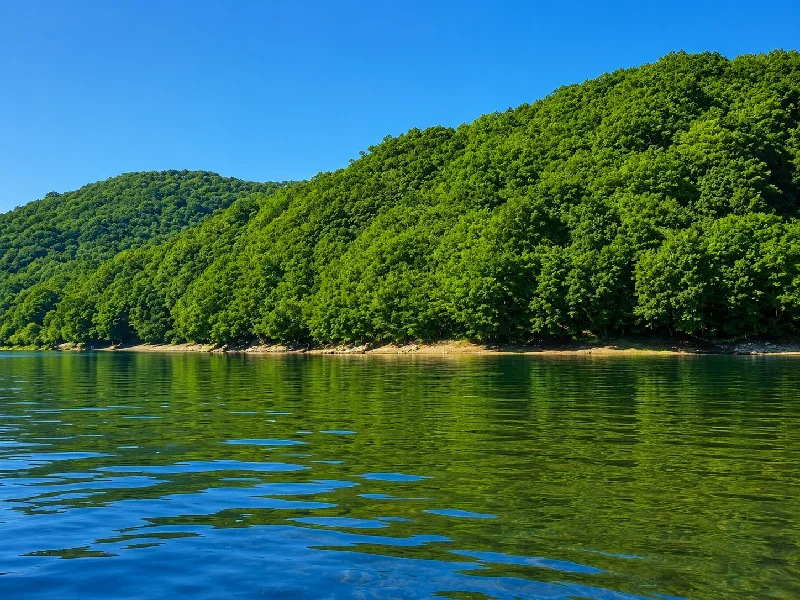 厚東川・大田川合流点
