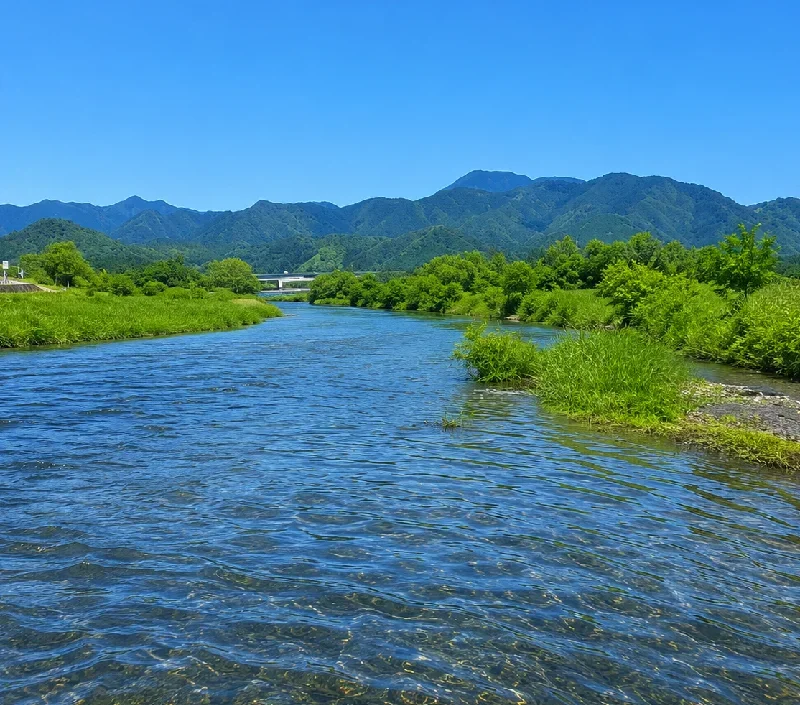 由良川音無瀬橋周辺