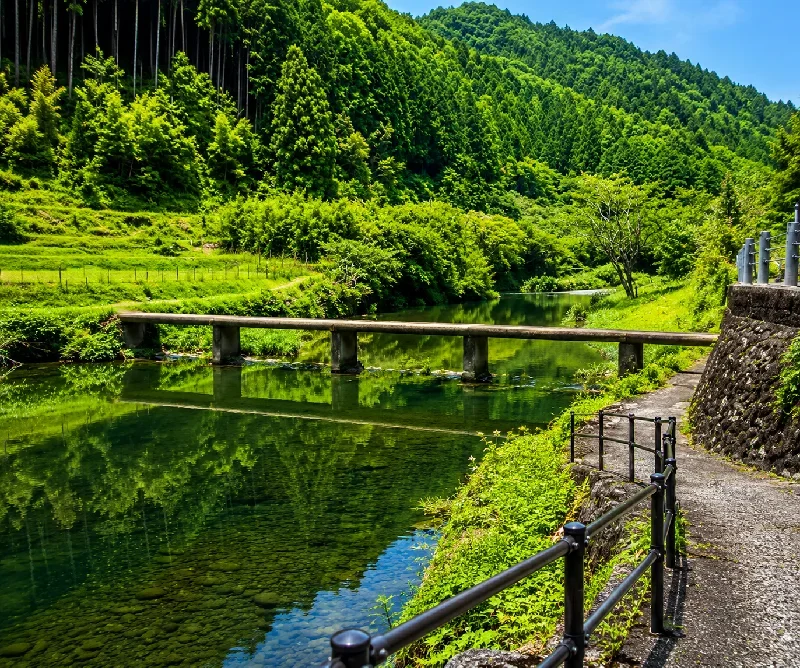 高樋沈下橋付近