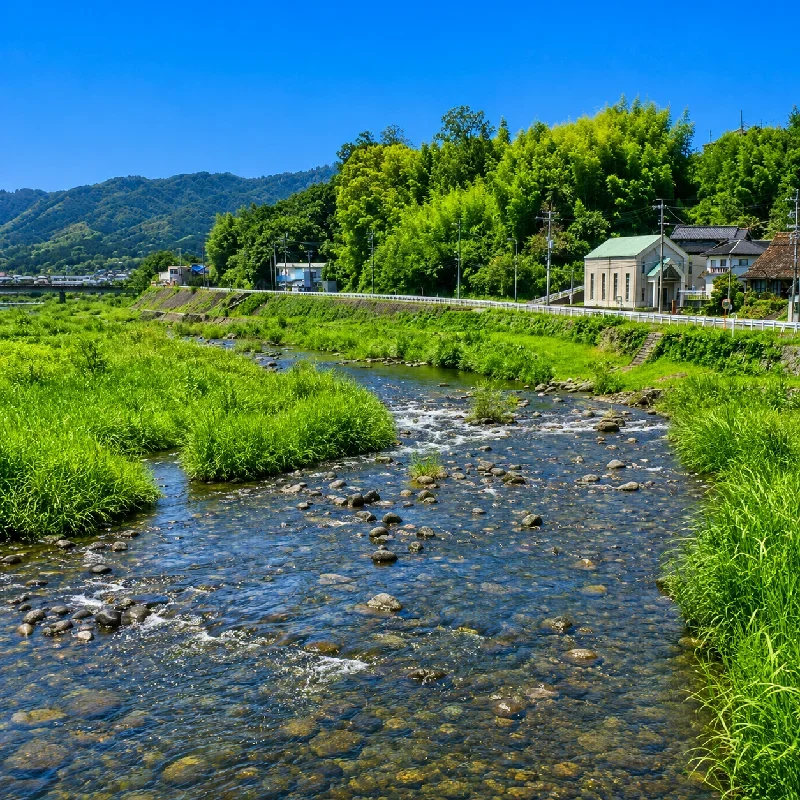 新夏見橋周辺