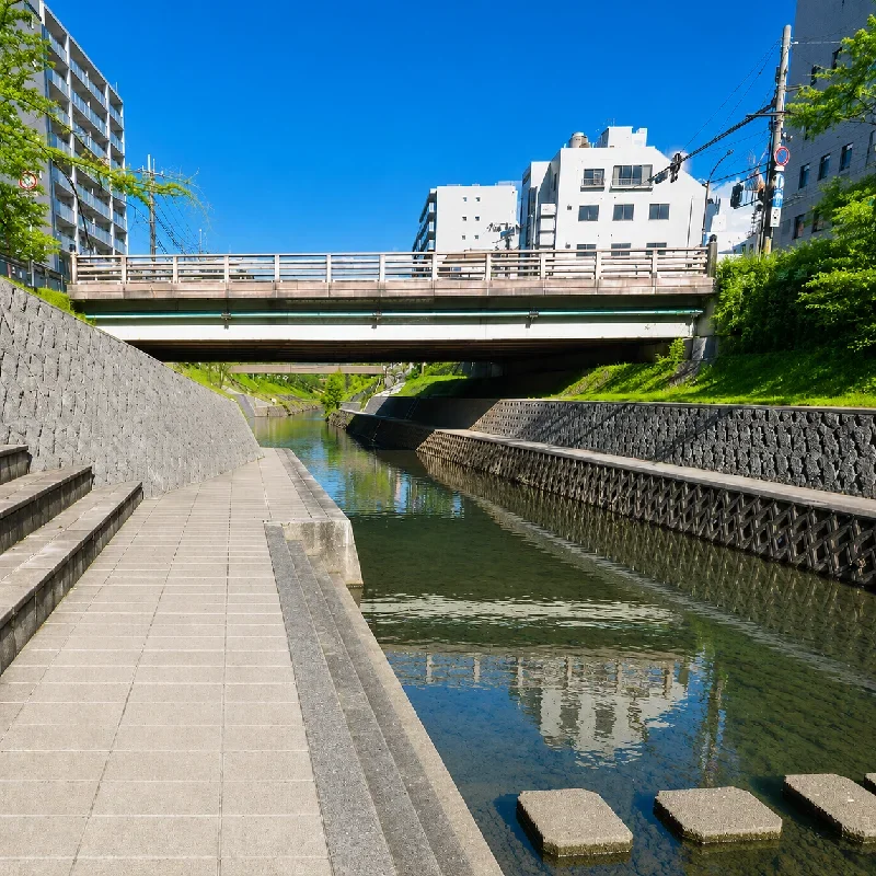 大宮橋周辺