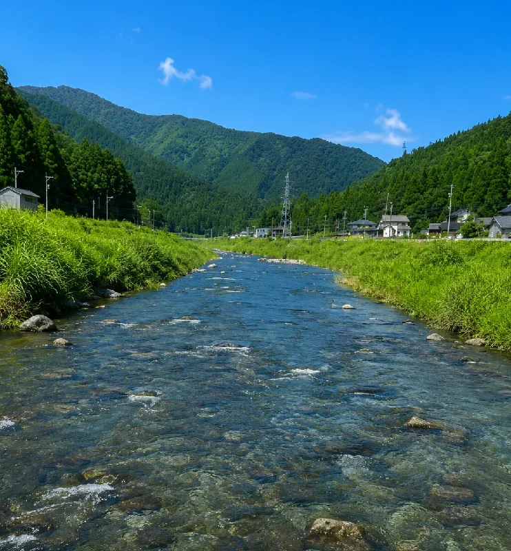 足羽川大久保橋周辺