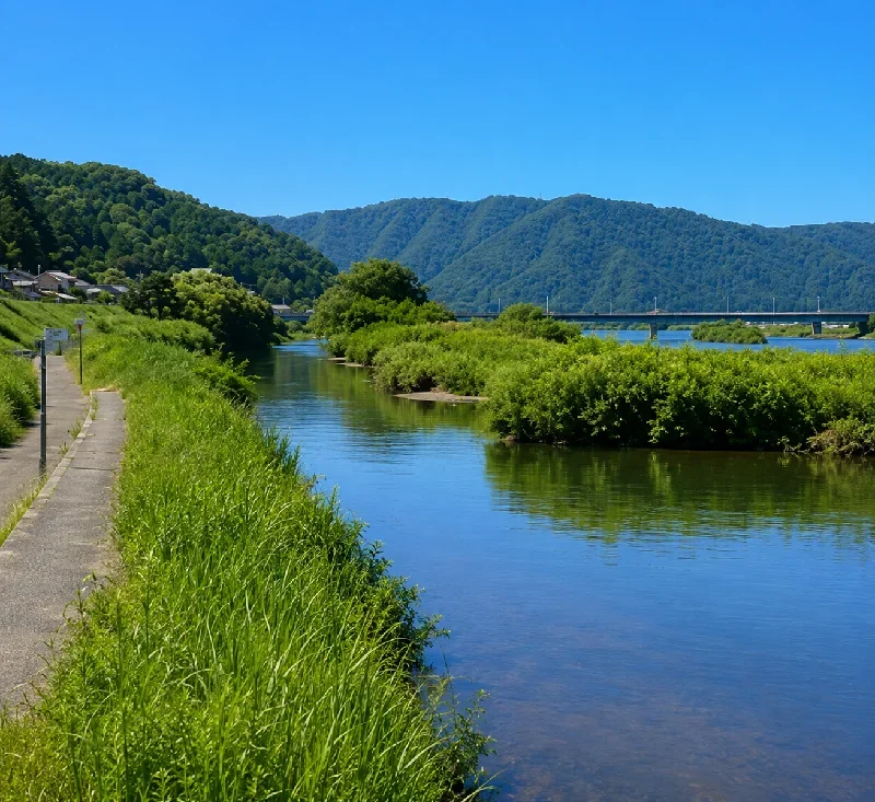 芦田川草戸大橋周辺