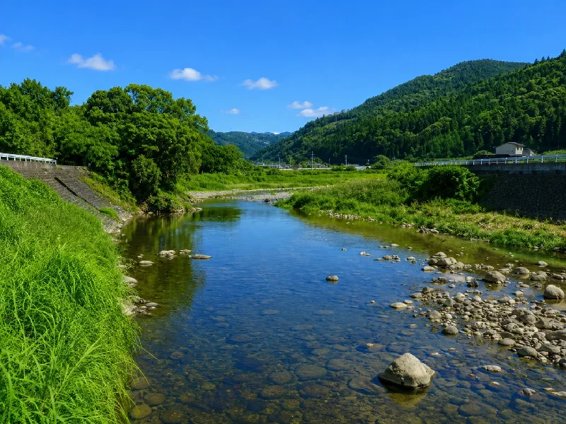 四条野橋周辺