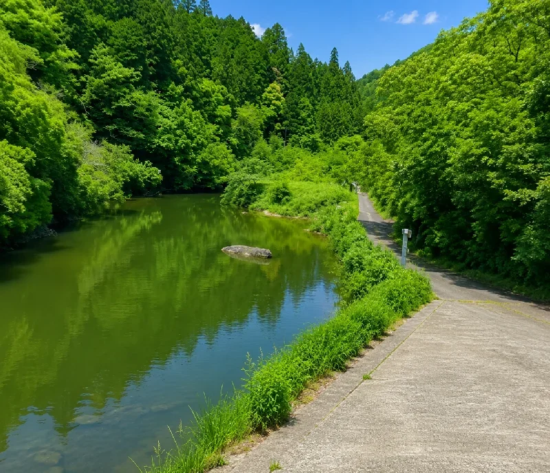 鮎返大橋周辺