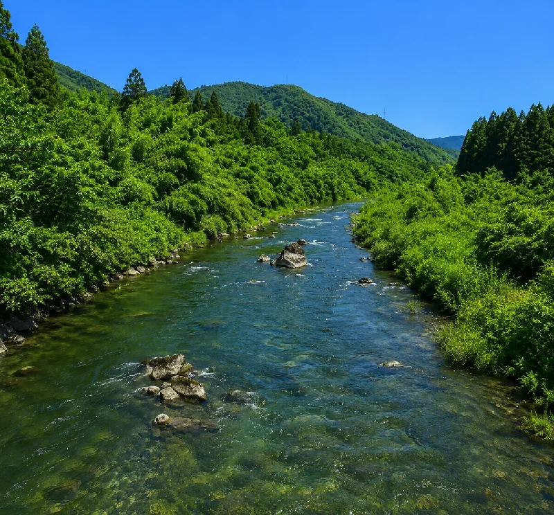 由良川和木大橋周辺