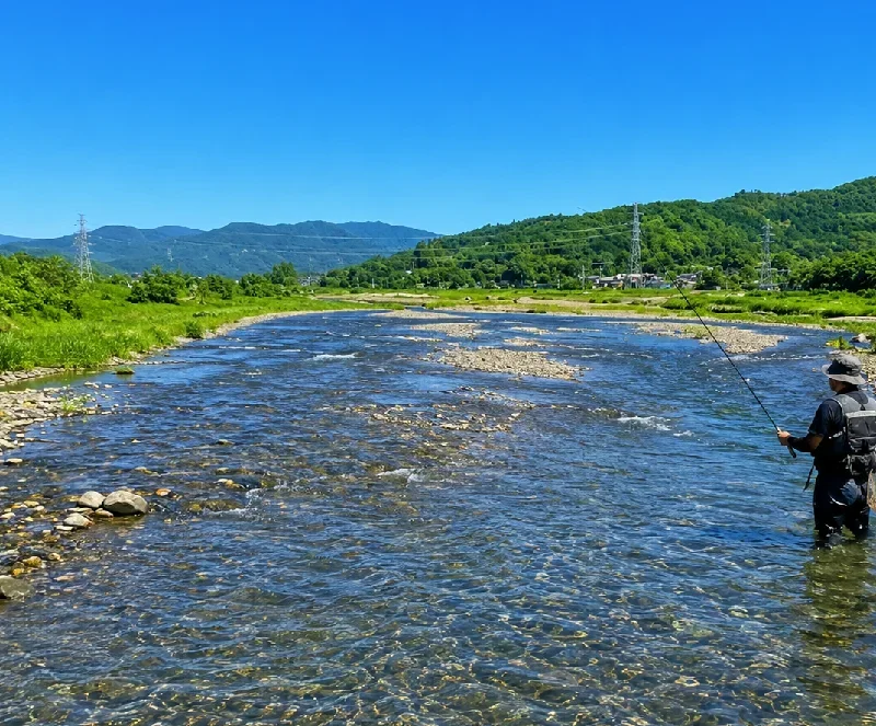 安曇川新常安橋周辺