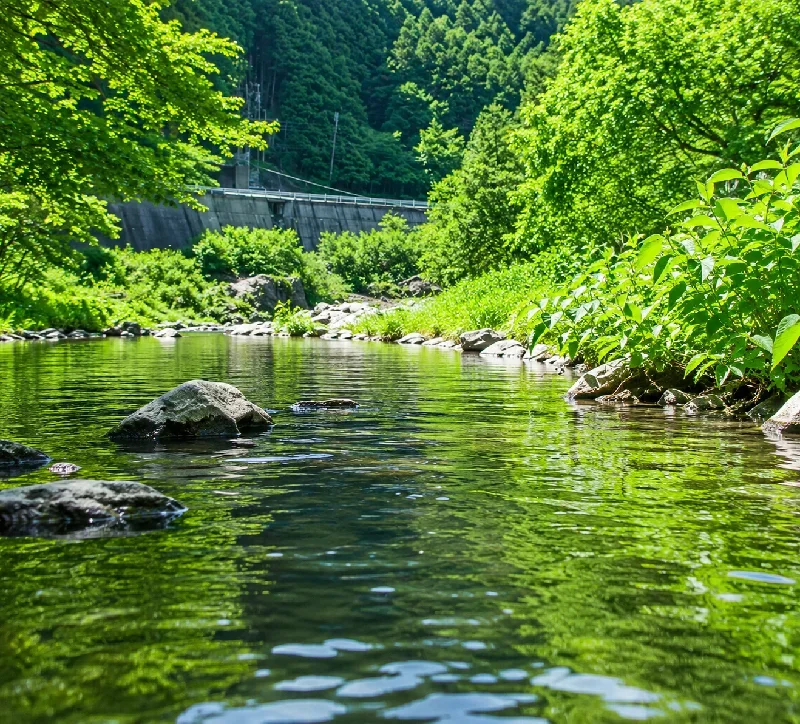 天ノ川庵住