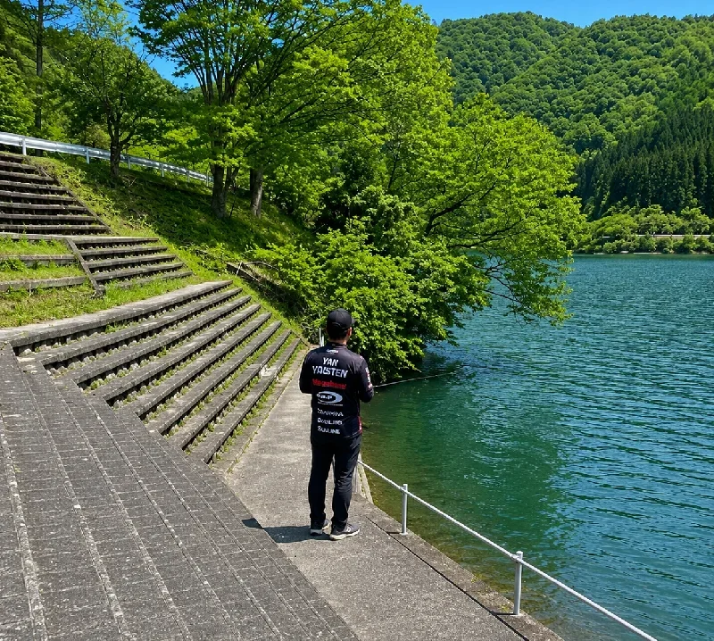 生野ダム望湖公園周辺