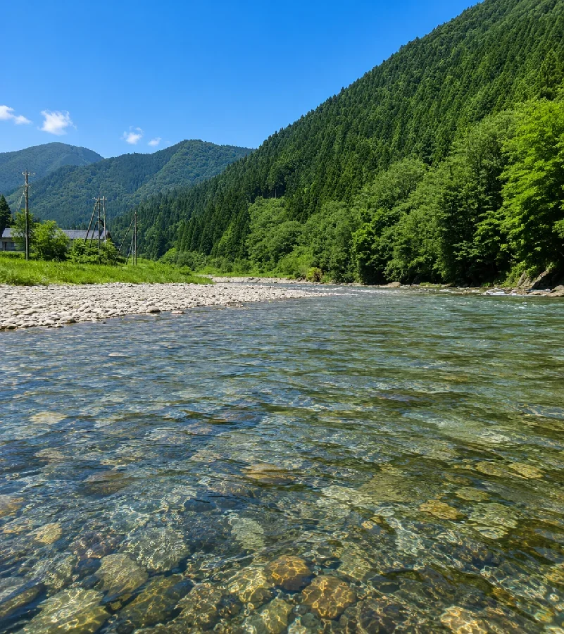 板取川岩本橋周辺