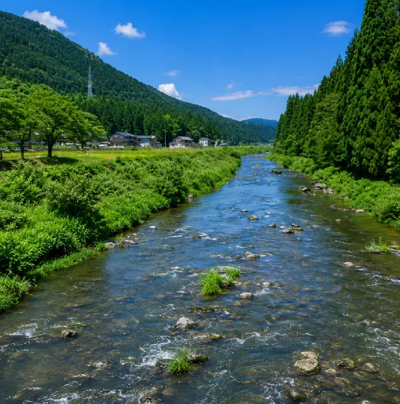 足羽川野尻橋周辺