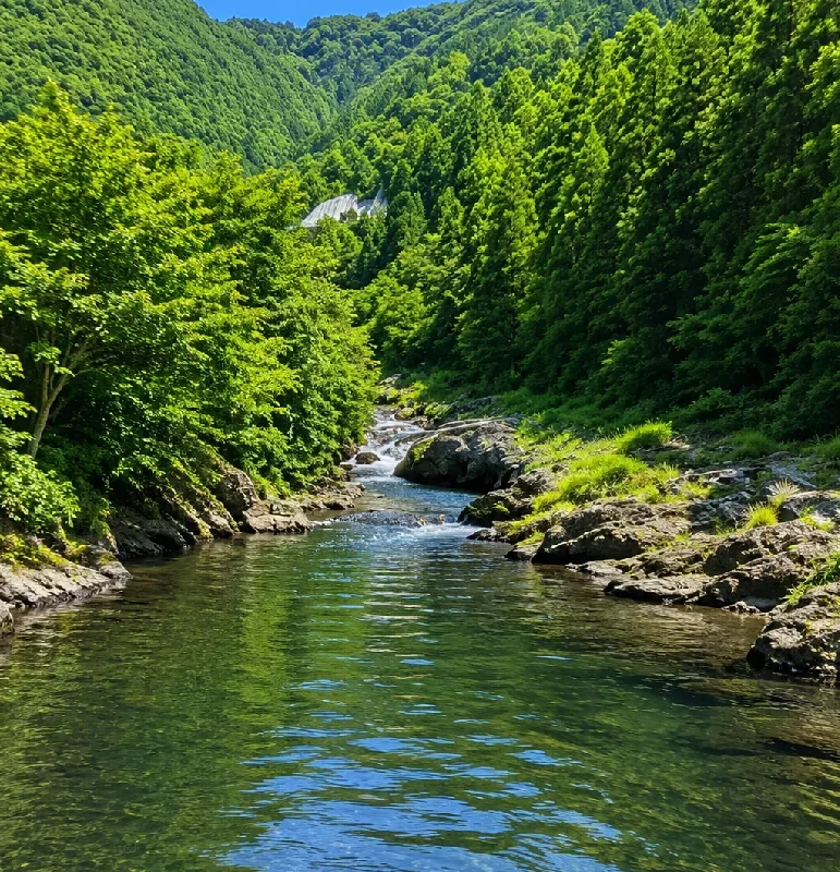富田川福定橋周辺