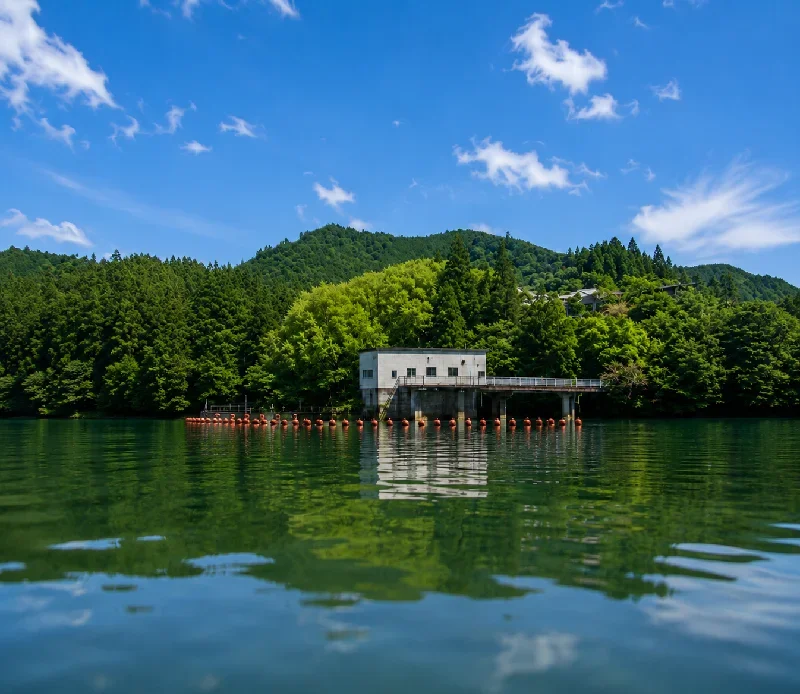 取水塔ワンド