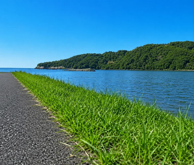 四万十川河口