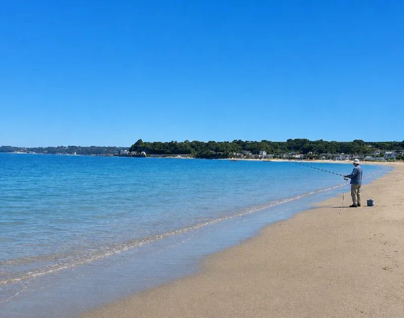 三浦海岸の様子