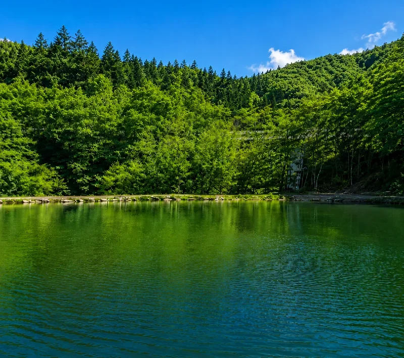 1号池
