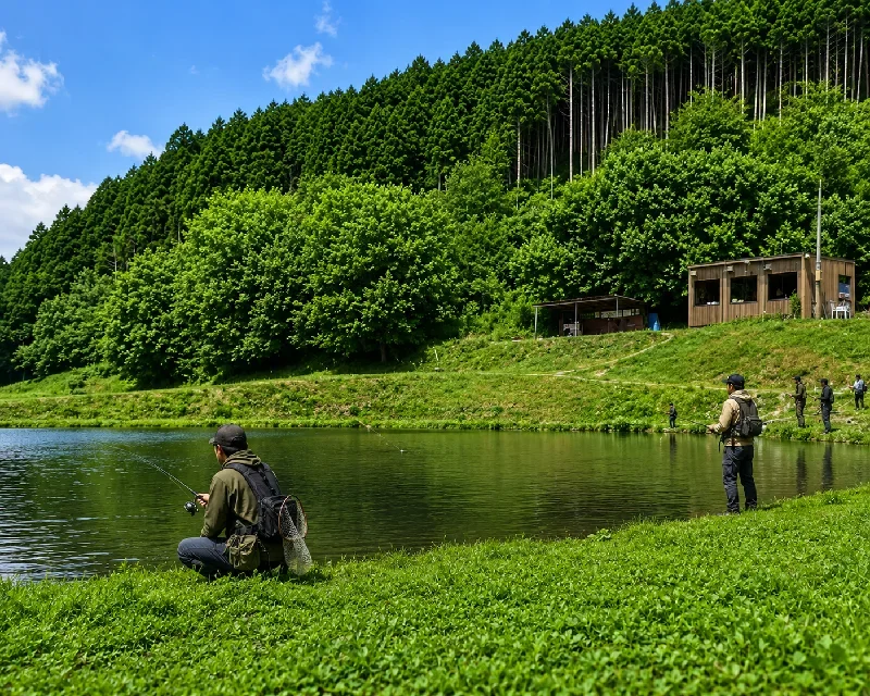 上池