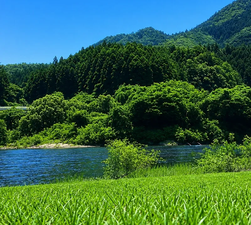 立輪水辺公園周辺