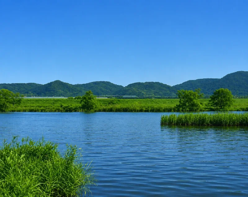 本明川河口