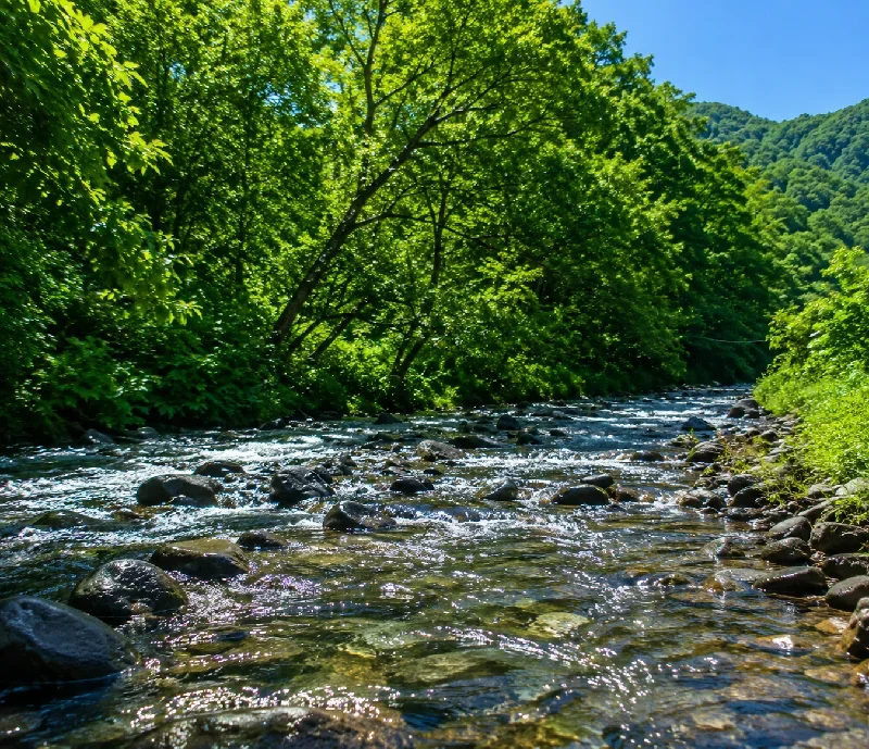 大童子川岩坂橋周辺