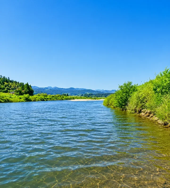 最上川合流点周辺