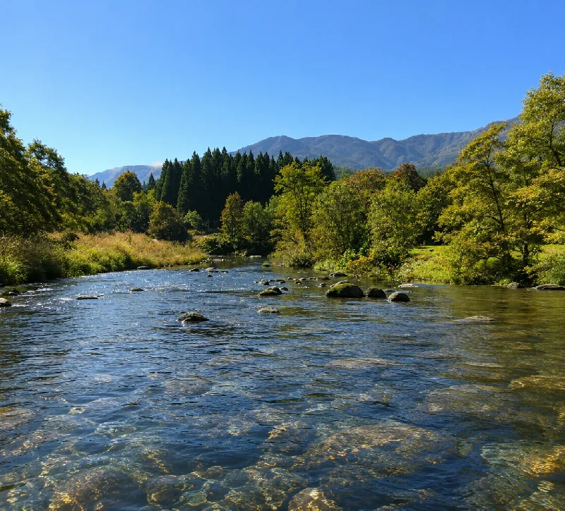 薄久内川合流点付近