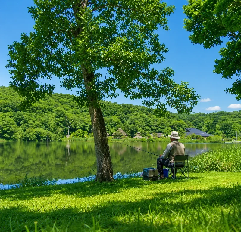 ポロト自然休養林