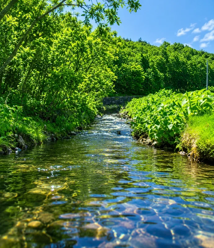 上股川合流地点付近