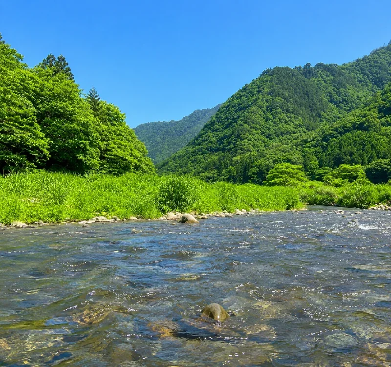 白銀橋周辺