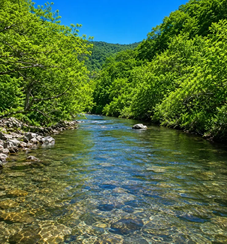 年々川合流点周辺