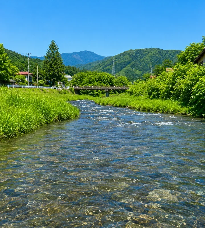 新大橋周辺