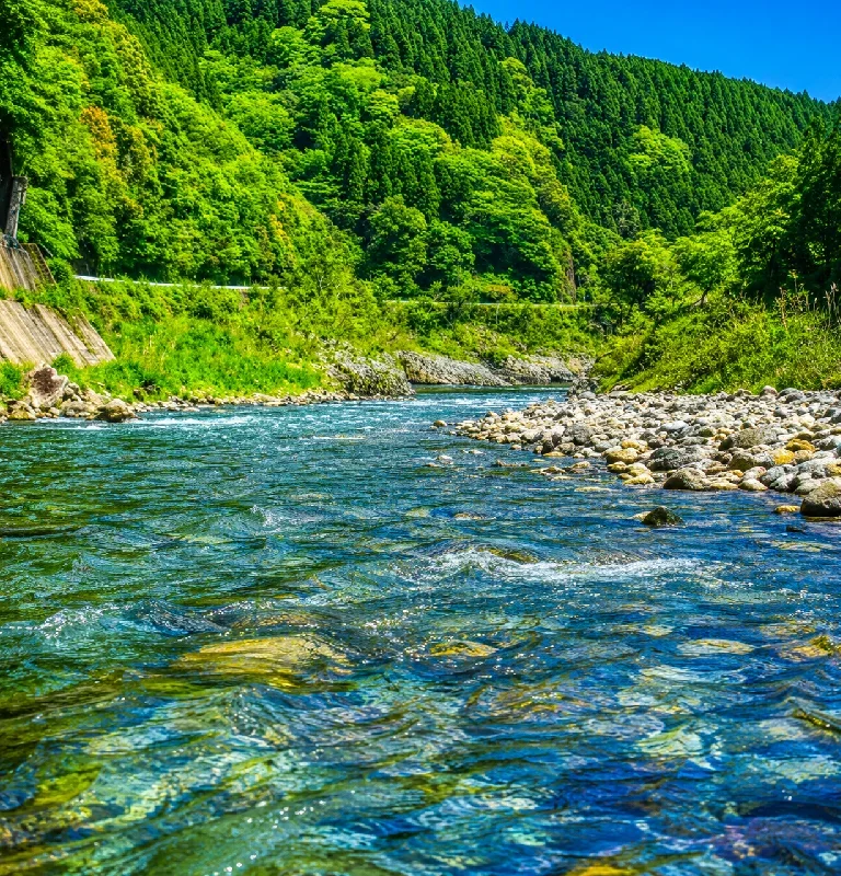 五ヶ瀬川カンバの瀬