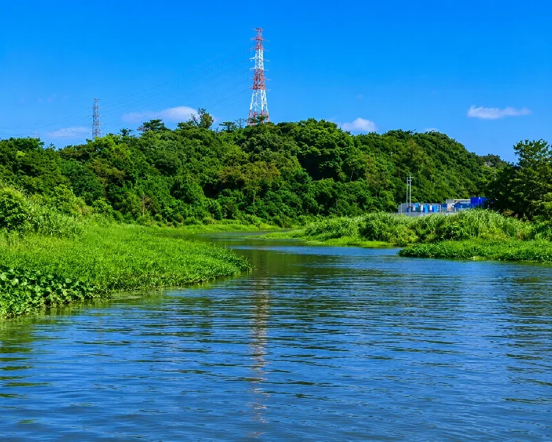 新宇堅橋周辺