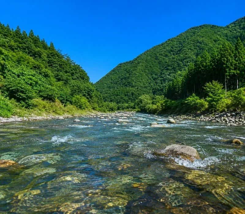 熊の湯温泉周辺