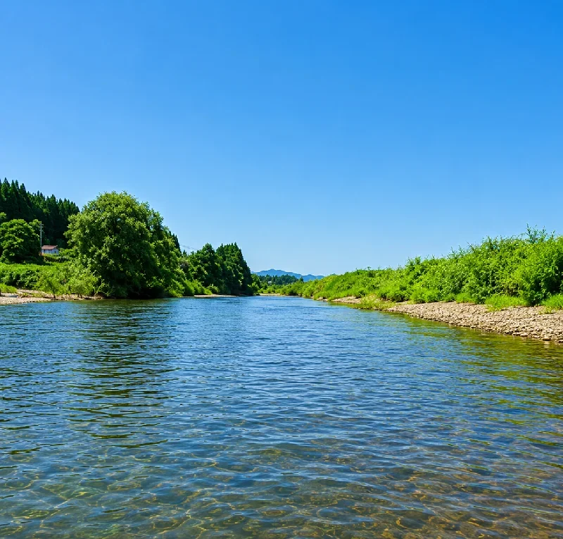 鮭川橋周辺