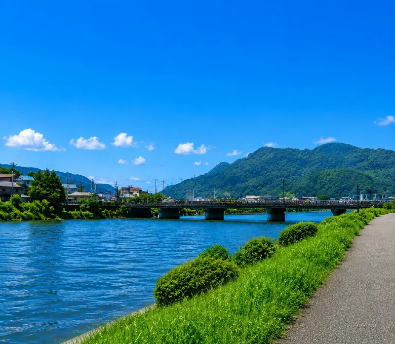 新水俣橋周辺