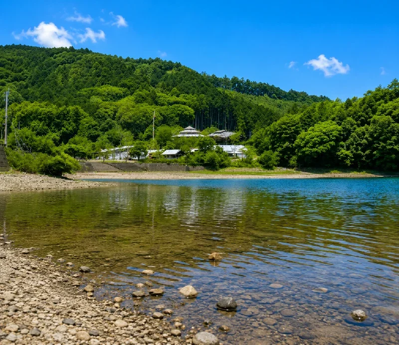 野の実ワンド