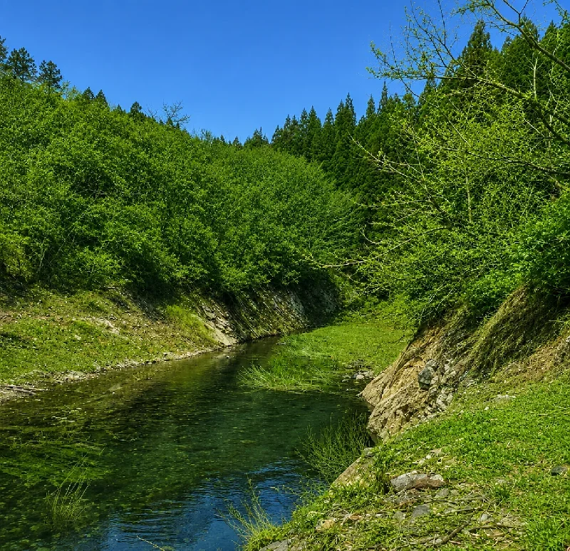 宮床大橋周辺