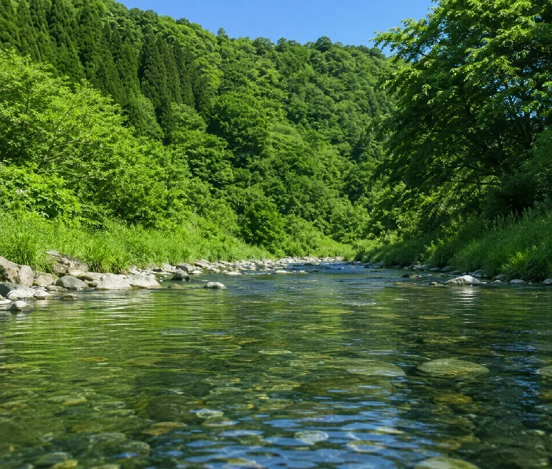 川原川バックウォーター