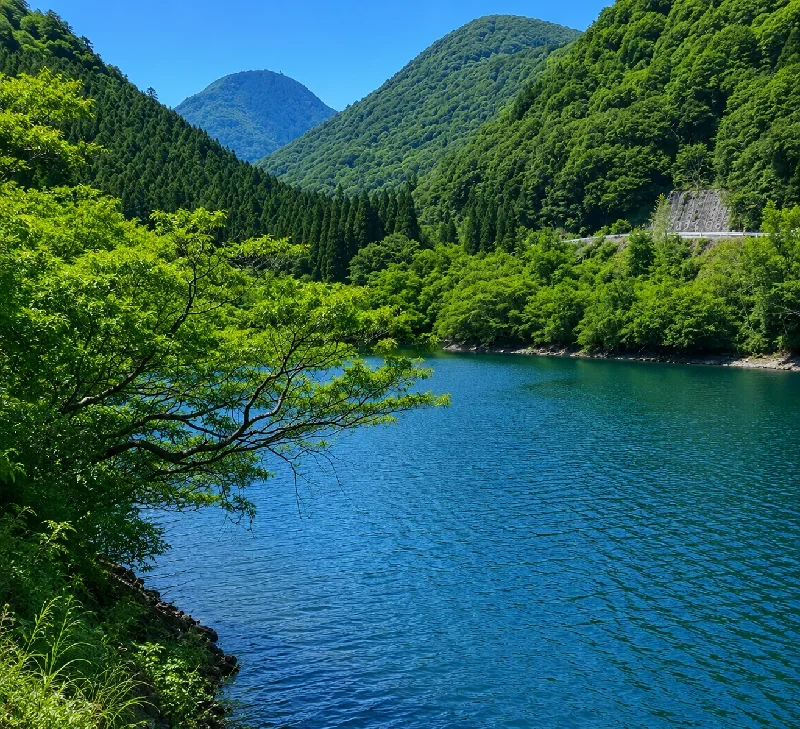 南側ワンド