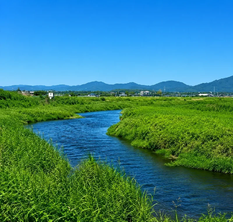 橋田大橋周辺