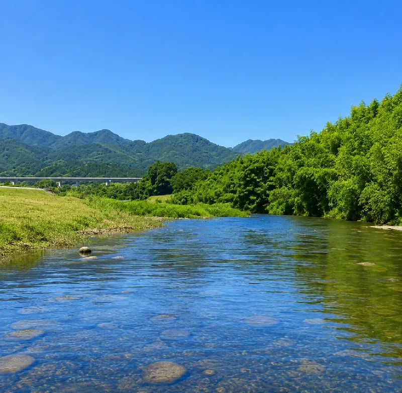 木戸川橋周辺