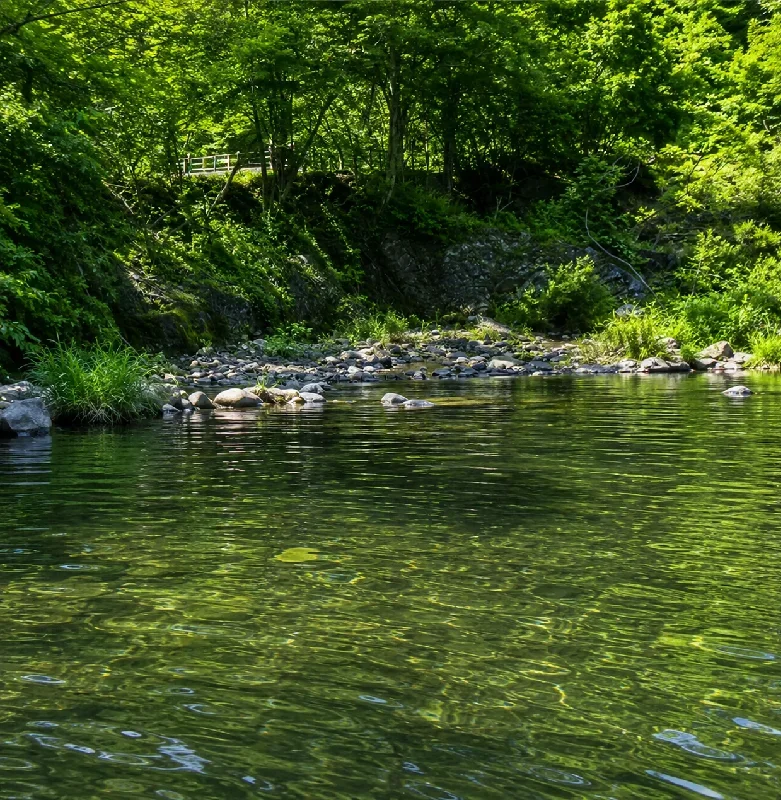川又川合流地点付近