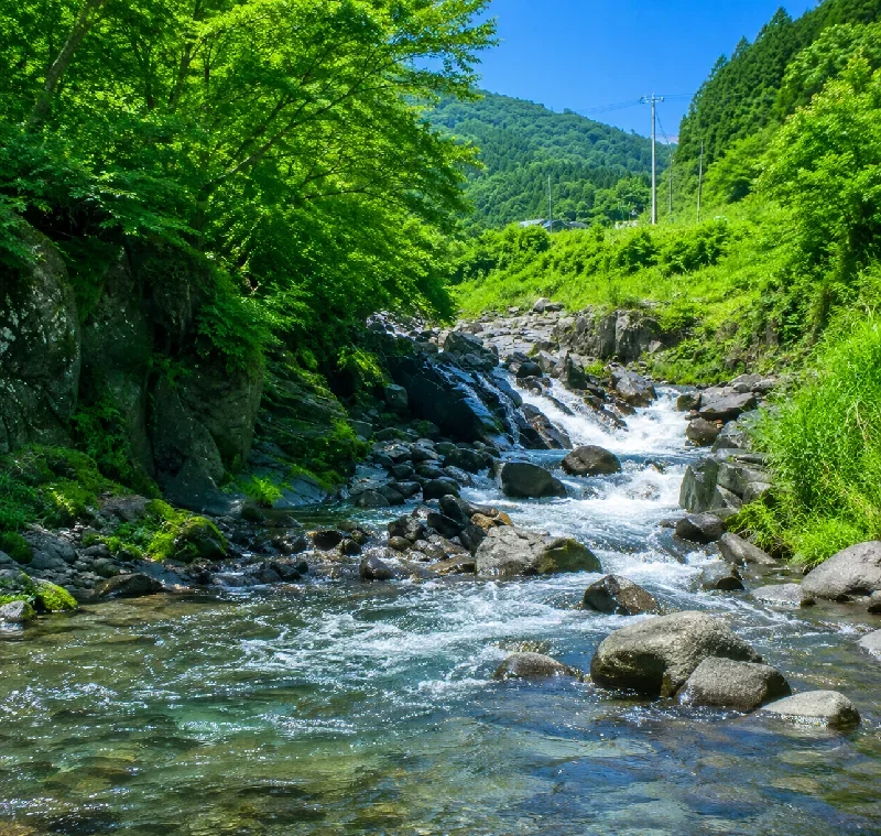 夏井川渓谷