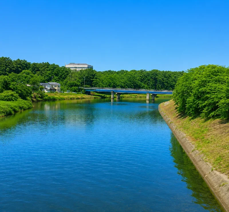 鳥海大橋周辺