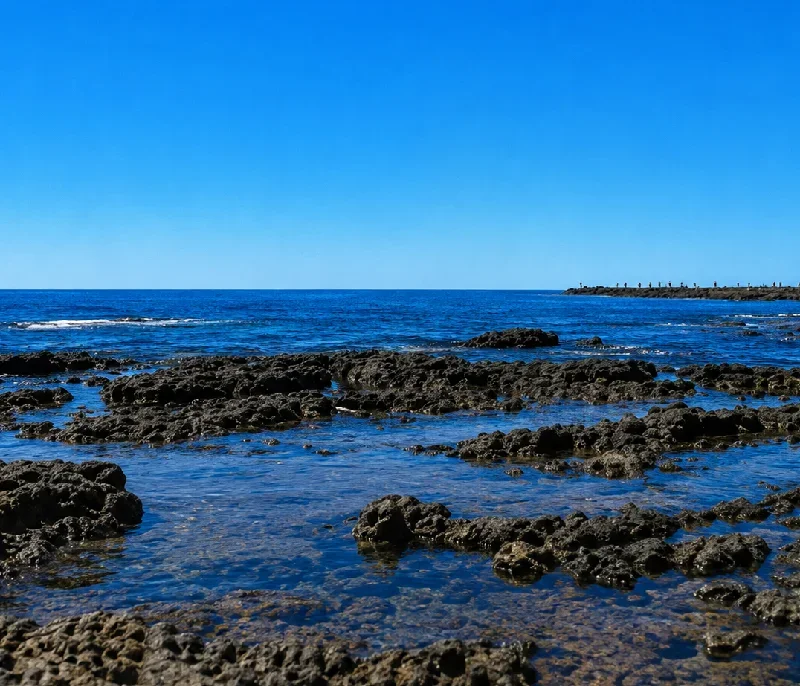照岸海岸