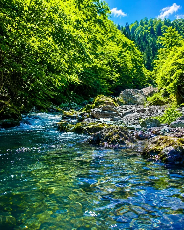 緑仙峡周辺