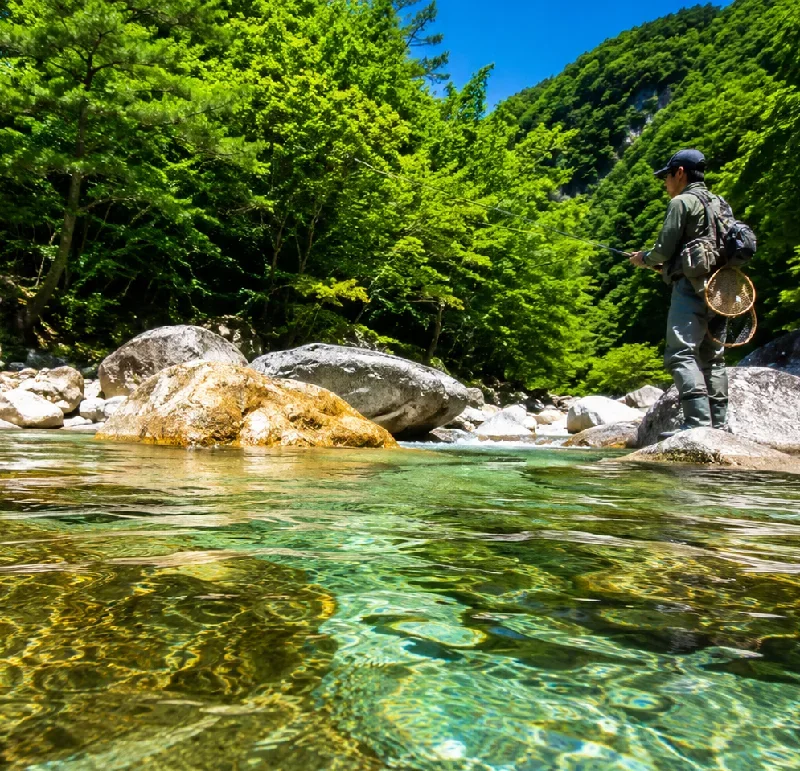 綱の瀬川