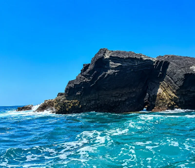 猪ノ子島