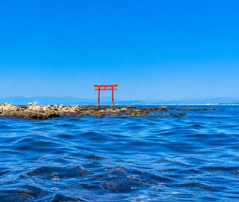 菜島